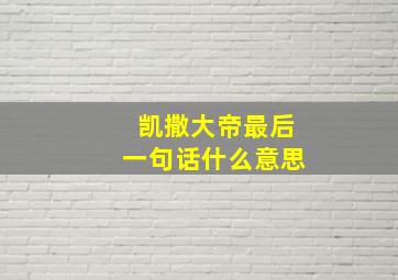 凯撒大帝最后一句话什么意思