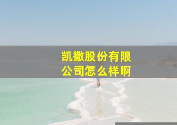 凯撒股份有限公司怎么样啊