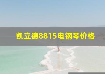 凯立德8815电钢琴价格