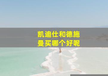 凯迪仕和德施曼买哪个好呢