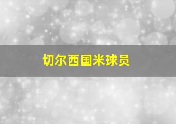 切尔西国米球员