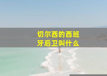 切尔西的西班牙后卫叫什么