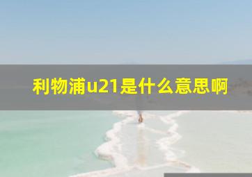 利物浦u21是什么意思啊