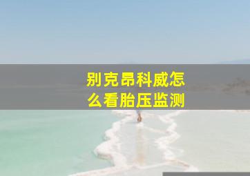 别克昂科威怎么看胎压监测