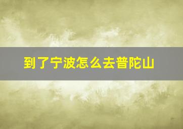 到了宁波怎么去普陀山