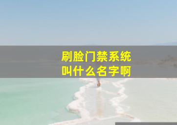 刷脸门禁系统叫什么名字啊