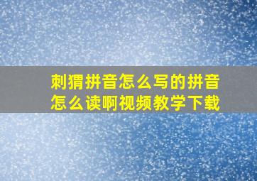 刺猬拼音怎么写的拼音怎么读啊视频教学下载