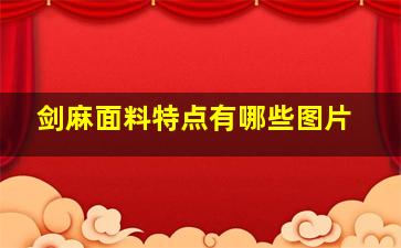 剑麻面料特点有哪些图片