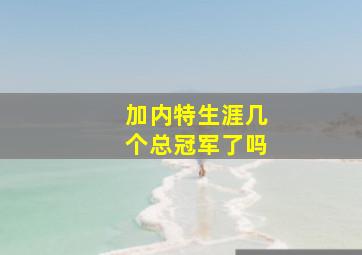 加内特生涯几个总冠军了吗