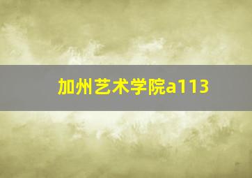 加州艺术学院a113