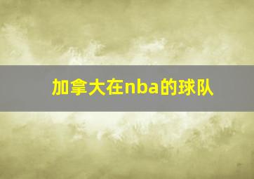 加拿大在nba的球队