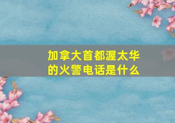 加拿大首都渥太华的火警电话是什么