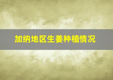 加纳地区生姜种植情况