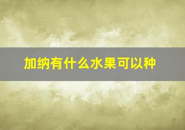 加纳有什么水果可以种