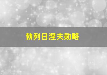 勃列日涅夫勋略