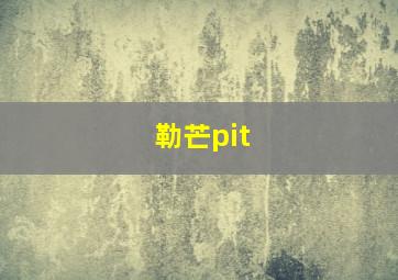 勒芒pit