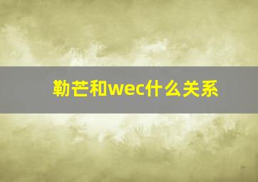 勒芒和wec什么关系