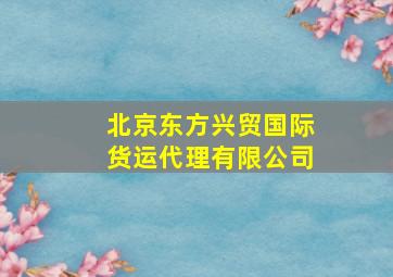 北京东方兴贸国际货运代理有限公司