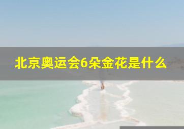 北京奥运会6朵金花是什么