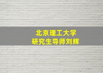 北京理工大学研究生导师刘辉