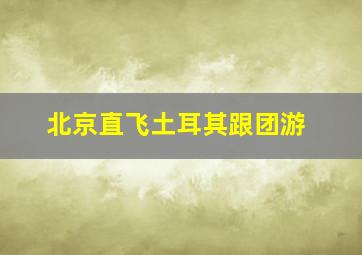 北京直飞土耳其跟团游