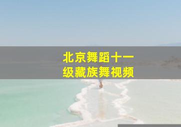 北京舞蹈十一级藏族舞视频