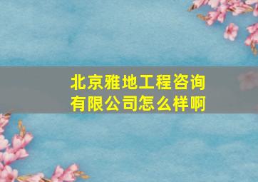 北京雅地工程咨询有限公司怎么样啊