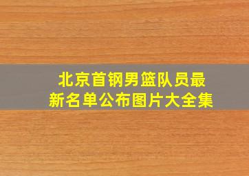 北京首钢男篮队员最新名单公布图片大全集