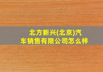 北方新兴(北京)汽车销售有限公司怎么样