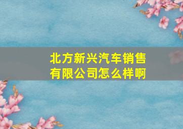 北方新兴汽车销售有限公司怎么样啊