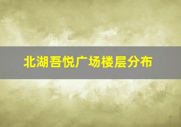 北湖吾悦广场楼层分布