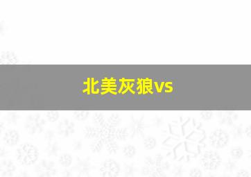 北美灰狼vs