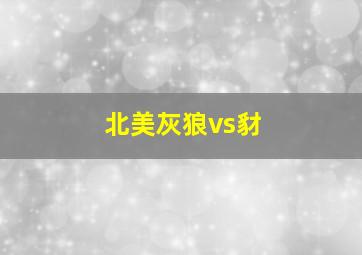 北美灰狼vs豺