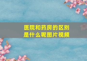 医院和药房的区别是什么呢图片视频