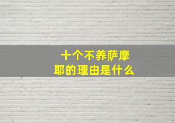 十个不养萨摩耶的理由是什么