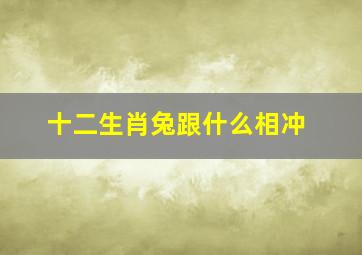 十二生肖兔跟什么相冲