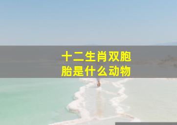 十二生肖双胞胎是什么动物