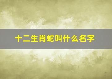 十二生肖蛇叫什么名字