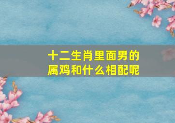 十二生肖里面男的属鸡和什么相配呢