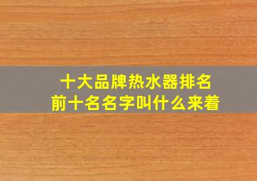 十大品牌热水器排名前十名名字叫什么来着