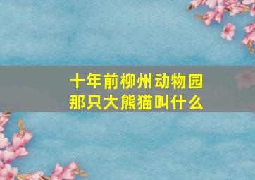 十年前柳州动物园那只大熊猫叫什么