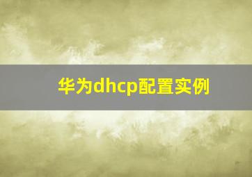 华为dhcp配置实例