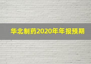 华北制药2020年年报预期