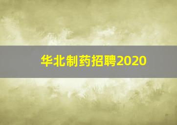 华北制药招聘2020