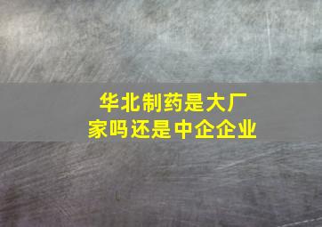 华北制药是大厂家吗还是中企企业