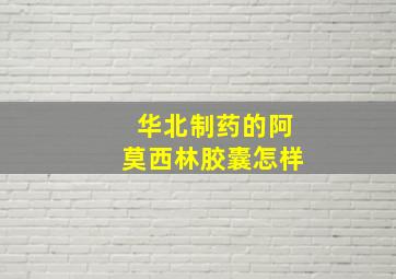 华北制药的阿莫西林胶囊怎样