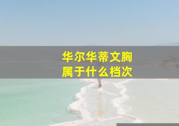 华尔华蒂文胸属于什么档次