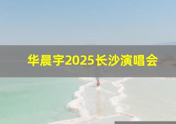 华晨宇2025长沙演唱会