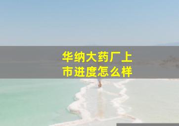 华纳大药厂上市进度怎么样