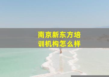 南京新东方培训机构怎么样